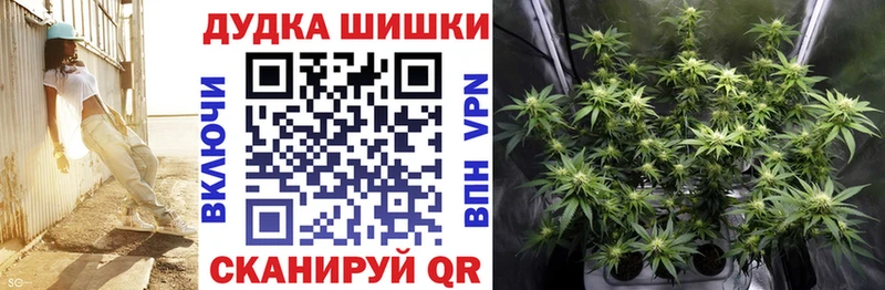 Бошки Шишки гибрид  Купить  Сорск 